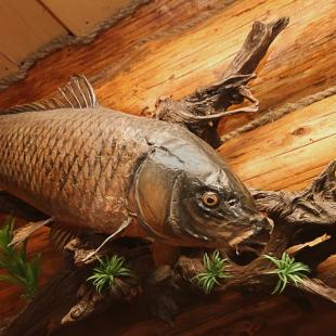 Усадьба «Рыбачья с баней» в Витебской области. Снять коттедж на выходные