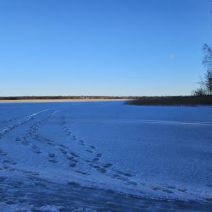 Зима в Hygge Lakes & Forest Club