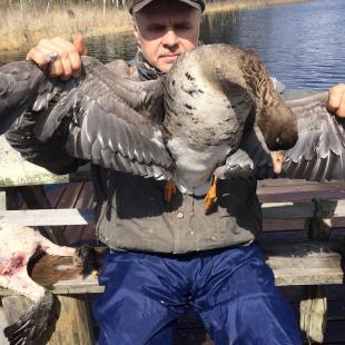 Отдых в усадьбе «Медвежий угол» в Глубокском районе