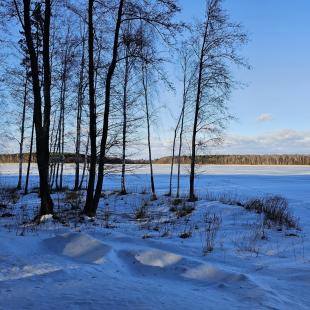 Зима в Hygge Lakes & Forest Club