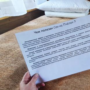 Оздоровительные услуги  "Здоровый сон на ульях" новинка!