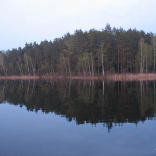 Усадьба «Медвежий угол» в Витебской области. Отдых с семьей на выходные