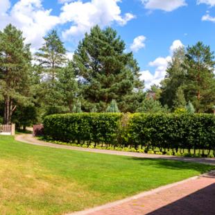 VIP Дубрава, коттедж под Минском