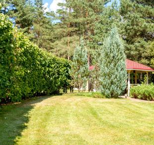 VIP Дубрава, коттедж под Минском