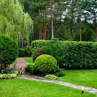 VIP Дубрава, коттедж под Минском