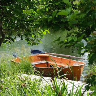 Усадьба Дольче Вита в Витебской области