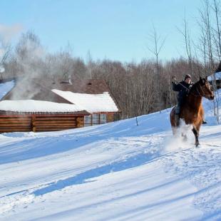 Усадьба «Охотничья» в Поставском районе. Снять дом в Белоруссии