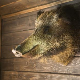 Беседка в усадьбе "Берлога Hall" возле реки Березина-