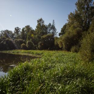 Территория усадьбы «Берлога Hall» возле реки Березина