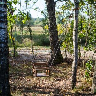 Территория усадьбы «Берлога Hall» возле реки Березина