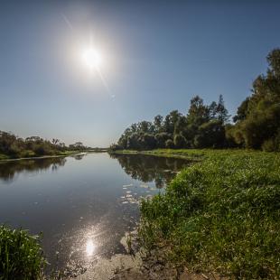 Территория усадьбы «Берлога Hall» возле реки Березина