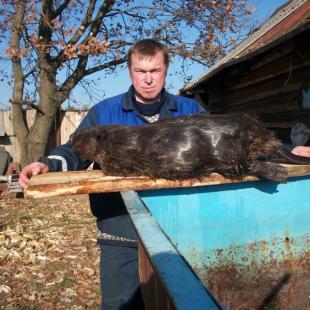 Охота в усадьбе «В Прилесье». Охота и рыбалка в Белоруссии