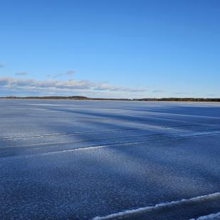 Зима в Hygge Lakes & Forest Club