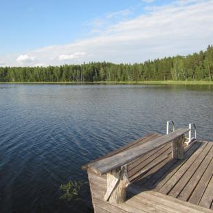Отдых в усадьбе «Медвежий угол»