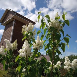 Агроусадьба «Стары млын» в 14 км от Минска