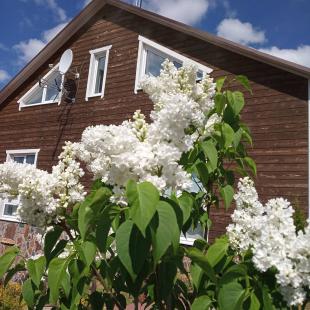 Агроусадьба «Стары млын» в 14 км от Минска