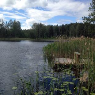 Усадьба «Медвежий угол» в Витебской области. Где можно охотиться