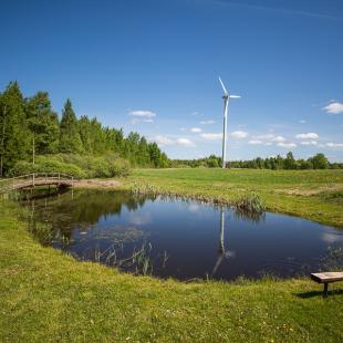 Коттедж «Датский» в аренду на Браславах. Снять дом на Новый год