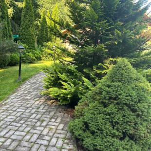 Территория усадьбы «Домики в лесу»