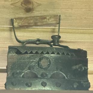 Территория усадьбы «Домики в лесу»