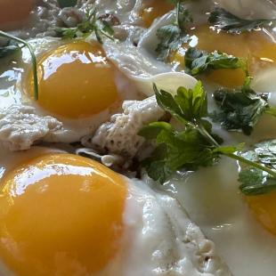 Территория усадьбы «Домики в лесу»