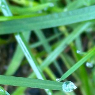 Территория усадьбы «Домики в лесу»