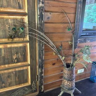 Территория усадьбы «Домики в лесу»