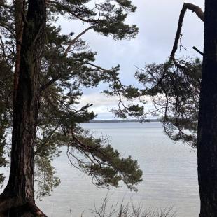 Санаторий Журавушка