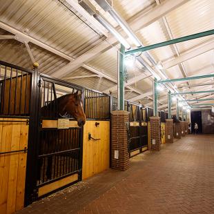 усадебный питомник