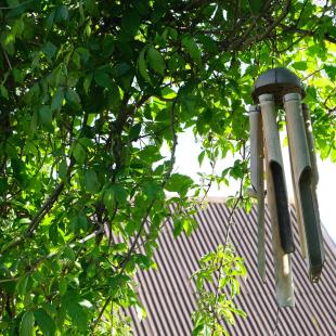 Усадьба Дольче Вита в Витебской области