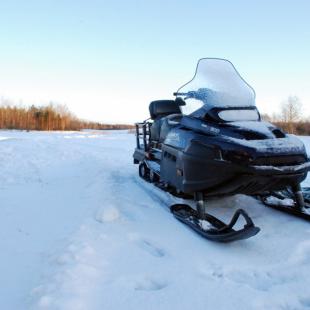 Снять коттедж «Датский» в Браславском районе на Новый год