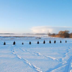 Зима в коттедже «Датский» в Браславском районе. Снять коттедж на сутки в Браславах