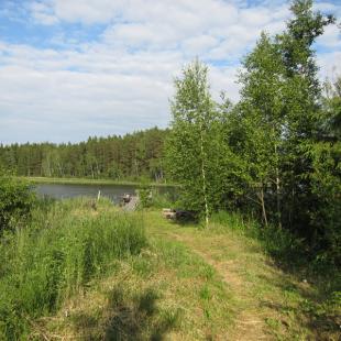 Усадьба «Медвежий угол» в Витебской области. Где порыбачить в Беларуси