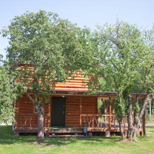 Дом "Лесной" в усадьбе в Витебской области