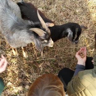 Отдых в усадьбе «Медвежий угол» в Глубокском районе