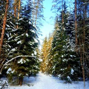 Зимний отдых в усадьбе «Парадиз»