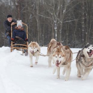 Туристический этнокультурный маршрут "Велесов путь"