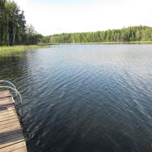 Отдых в усадьбе «Медвежий угол»