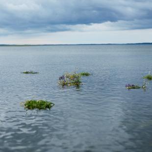 Корпоративные программы в "Наносах-Новоселье"
