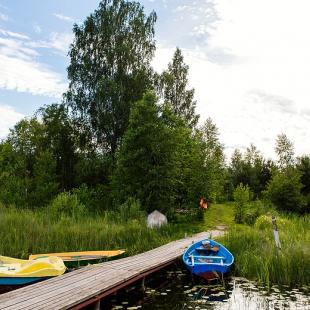 Лето в усальбе "Медвежий угол"