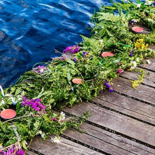 Лето в усальбе "Медвежий угол"