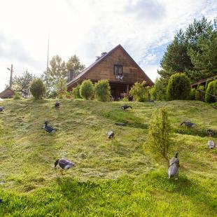 Лето в усальбе "Медвежий угол"