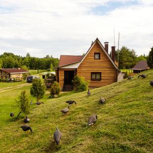 Лето в усальбе "Медвежий угол"