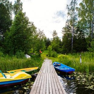 Лето в усальбе "Медвежий угол"