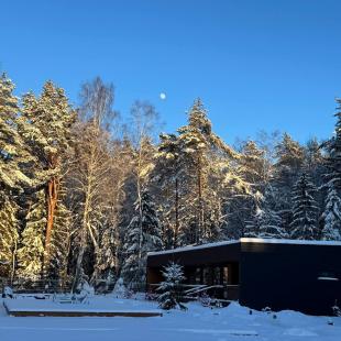 Коттедж Prestige home