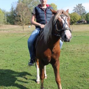 Отдых на базе отдыха 'Березовый двор'