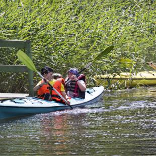 Туристический этнокультурный маршрут "Велесов путь"
