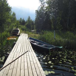Отдых в усадьбе «Медвежий угол»