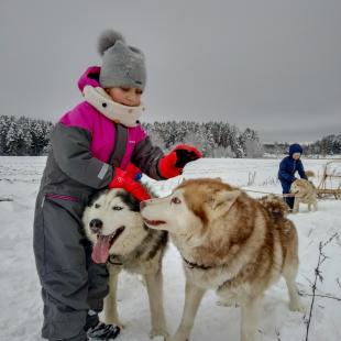 Наши любимцы (контактный зоопарк)