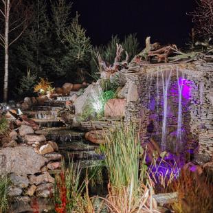 Территория